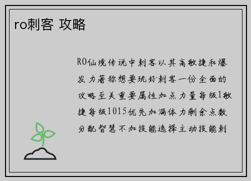 ro刺客 攻略
